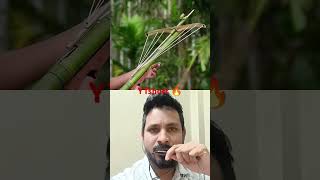 Ecofriendly Bamboo Crossbow Creation 🔥🎍 shorts bamboo bambooart slingshotchallenge [upl. by Keryt90]