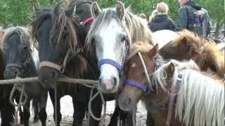 Ponymarkt Bemmel 2012 [upl. by Edialeda366]