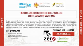 PreCOP42 Side Event MercuryAdded Skin Lighteners Widely Available Despite Convention Obligations [upl. by Neeuq592]