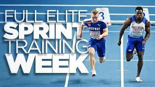 Elite Sprint Training Week  Road To 20 ³ [upl. by Arreis]