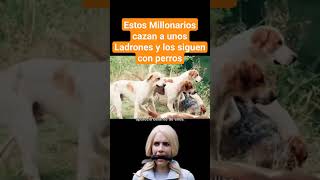 Ladrones son Cazados por Millonarios sanguinarios resumenpeliculas peliculas movie [upl. by Orelie]