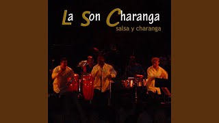 Salsa y Charanga [upl. by Torrie218]