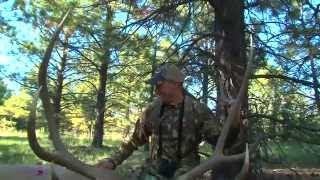 Rage Hypodermic Broadhead Puts Elk Down in 60 yards [upl. by Waddington]