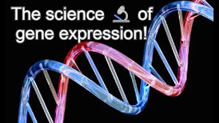 What is epigenetics [upl. by Saba]