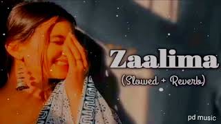 Zaalima Slowed and Reverb  Raees  Arijit Singh amp Harshdeep Kaur [upl. by Blondelle]