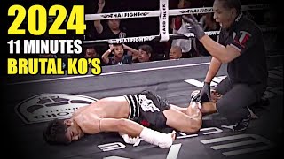 11 Minutes of Brutal MMA KOs of 2024 [upl. by Eatnoj436]