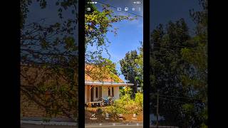 Config sybershot 6gcam nikita 20gcam configgcam gcamnikita configgcamnikita googlecamera [upl. by Tybi]