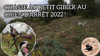 CHASSE au PETIT GIBIER SAISON 20222023  Perdreaux Faisans Lapin Lièvre au CHIEN DARRÊT 🐕 💥 [upl. by Ezechiel]