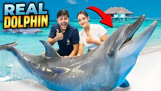 ডলফিনের সাথে সাঁতার কাটলাম  Swim With REAL DOLPHINS 🐬  Rakib Hossain [upl. by Sorrows]