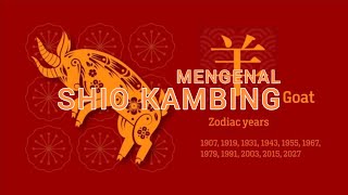 MENGENAL SHIO KAMBING BERDASARKAN 5 ELEMEN  Sifat Dan Karakter Shio Kambing [upl. by Walton]