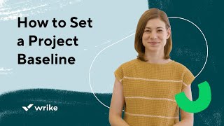 How to Set a Project Baseline [upl. by Natka]