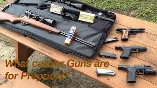 What caliber guns are for preppers [upl. by Nare558]