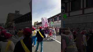 2024 かなまら祭 川崎市 川崎の奇祭 日本の奇祭 神輿 渡御 Kanamara Matsuri portable shrine japanese festival shorts [upl. by Nomla]