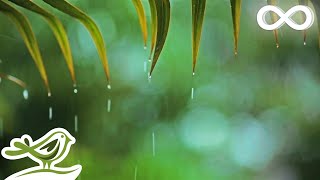 Relaxing Music amp Rain Sounds  Beautiful Piano Music Background Music Sleep Music • You amp Me [upl. by Anewor]