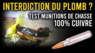 Que valent les munitions de chasse SANS PLOMB [upl. by Rats403]