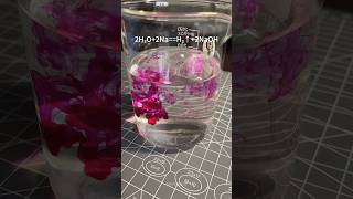 Sodium in water experiment 😲 shorts viral [upl. by Notnad]