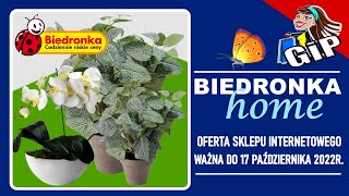 BIEDRONKA  Oferta Online do 17102022  Sztuczne Kwiaty [upl. by Benton]