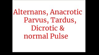 Alternans Anacrotic  parvus tardus dicroticamp normal Pulse [upl. by Robenia88]