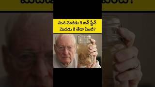 Einstein brain mystery PART2 interestingfactsintelugu facts ytshorts [upl. by Fillender521]