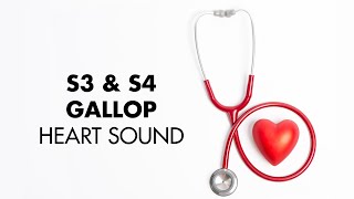 S3 and S4 Gallop  Heart Sounds  MEDZCOOL [upl. by Shamus]