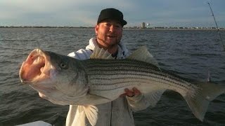 Todd quotBOSSMANquot Mossman  Striped Bass Off Brigantine NJ [upl. by Tedder]