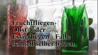 Fruchtfliegen  Falle aus PET Flasche basteln [upl. by Hazel545]