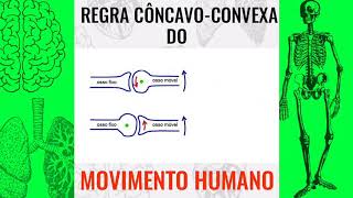 RESUMO REGRA CÔNCAVOCONVEXA  Hugo Oliveira [upl. by Jayme]