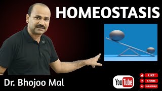 Homeostasis  by Dr Bhojoo Mal [upl. by Kaleena426]