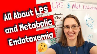 All About LPS and Endotoxemia [upl. by Tabby]