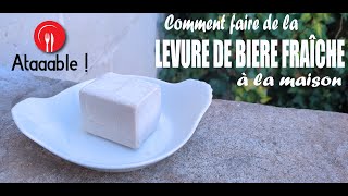 Comment faire de la Levure de Bière Fraîche à la maison [upl. by Leachim]