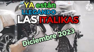 📣Apartarla porque🏍️🪽 VUELAN 🪽‼️ ITALIKA TODOS LOS MODELOS 💥🔥 [upl. by Haropizt]