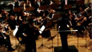 Max Bruch Romance para Viola e Orquestra [upl. by Enail]