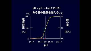 酸塩基平衡 [upl. by Blumenthal]