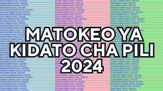 TAZAMA HAPA MATOKEO YA KIDATO CHA PILI 2024NECTA FTNA RESULTS 2024 [upl. by Doomham704]