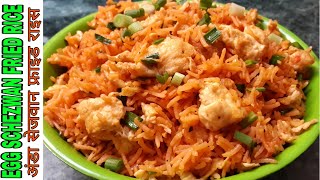 Egg Schezwan Fried Rice  How To Make Egg Schezwan Fried Rice  अण्डा सेजवान फ्राई राइस [upl. by Twila]