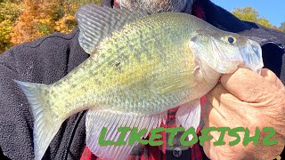 2022 Brookville Lake Indiana Crappie fishing [upl. by Eadahs]