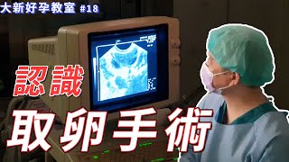 大新好孕教室第18集認識取卵手術 [upl. by Che134]