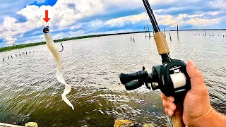 Wade Fishing Saltwater Bays with Jigs [upl. by Jephthah]