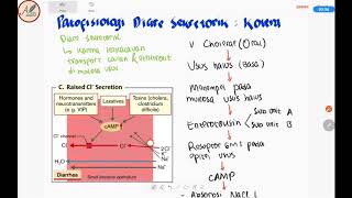 Patofisiologi Diare Sekretorik  Bakteri Vibrio Cholera [upl. by Lehacim653]