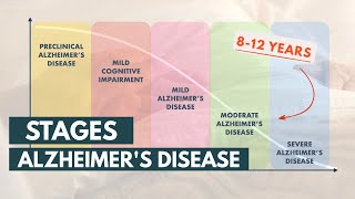 Stages and Life Expectancy of Alzheimers Disease [upl. by Keily]