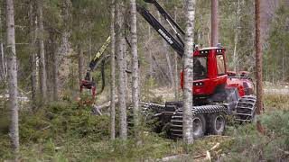 SCA GROTanpassning vid föryngringsavverkning [upl. by Ellenyl84]