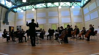 Tchaikovsky Serenade for String Orchestra 4th movement [upl. by Sussman]