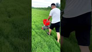 fertilizer spreader to spread fertilizer in the future It is really convenient and fastviralvideo [upl. by Azial672]