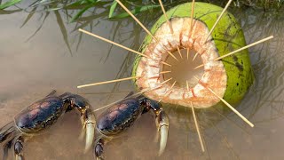 Survival Skills SIMPLE and USEFUL with Fruit Coconut bushcraft camping outdoors useful [upl. by Dympha]