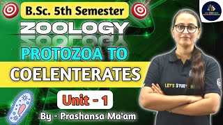 Protozoa to Coelenterates Paramecium Protozoa in Hindi BSc 5th Sem Protozoa for BSc 5th Sem [upl. by Jemina]