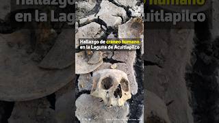 ⚠️🔍 Se han encontrado dos cráneos humanos en la laguna de Acuitlapilco esta semana Acuitlapilco [upl. by Suiddaht]