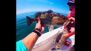 Tarpon Springs Offshore Day [upl. by Kinata]