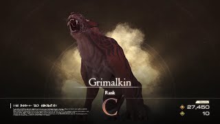 Grimalkin Notorious Mark Fight Final Fantasy Mode No Damage NG  Final Fantasy XVI [upl. by Westleigh419]