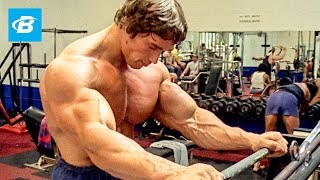 How To Train For Mass  Arnold Schwarzeneggers Blueprint Training Program [upl. by Gifford]