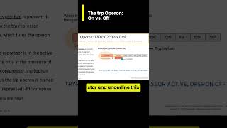 The tryptophan trp operon On vs Off Walkthrough [upl. by Toffic523]